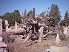 07 CIMETIERE TAMAZOUHET 03